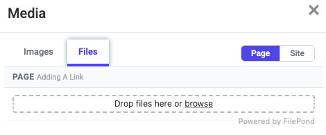 EditInfo7.jpg